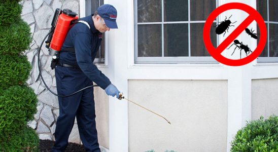 Tire Tahtakurusu İlaçlama böcek ilaçlama ve haşere kontrolü — ilaclama-tr.com